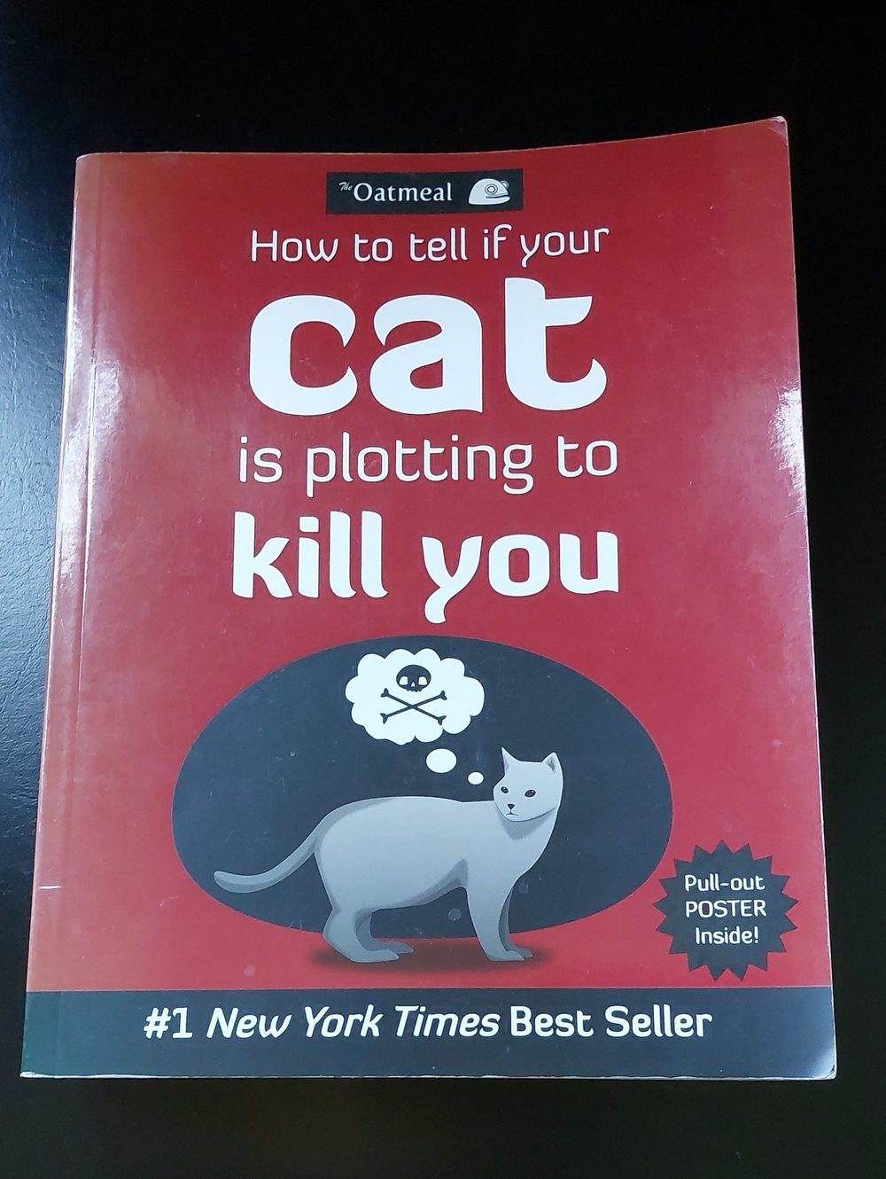 How To Tell If Your Cat Is Plotting To Kill You SC Book